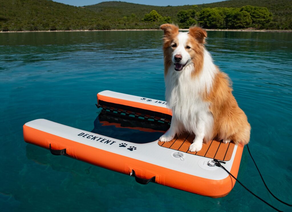 Decktent Dog Ramp M